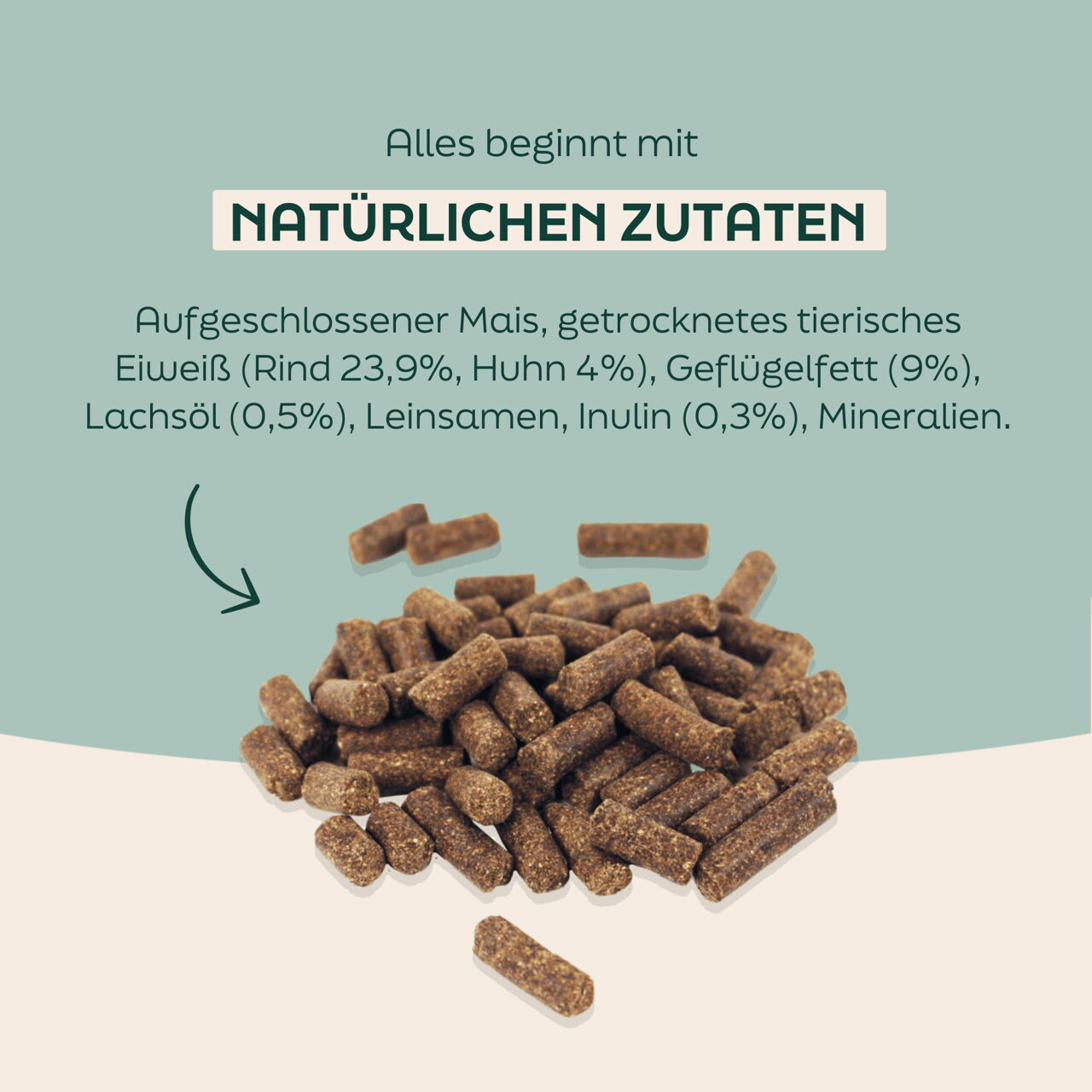WOOOF High-Energy Hundefutter naturlichen zutaten hunden high energy