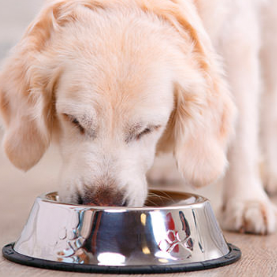 Light Kaltgepresst | 18kg