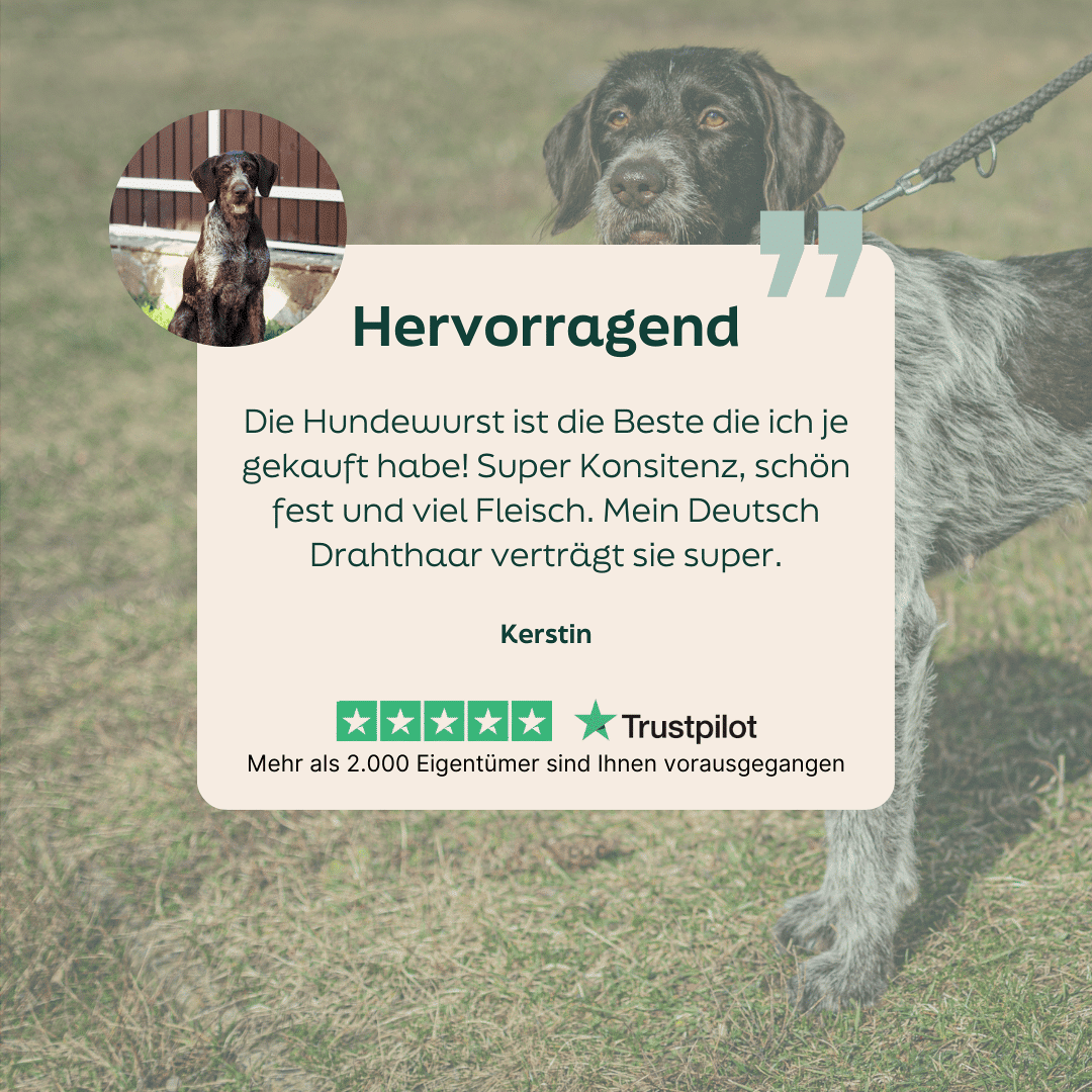 WOOOF Hühnerwurst Frisch Sterne-Bewertung für die WOOOF Huhn Wurst