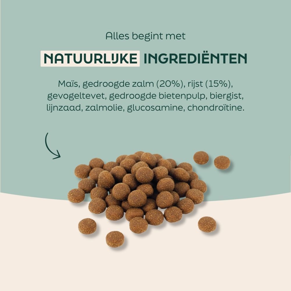 kibble, voer voor huisdieren, korreltjes, bruin rond, knapperig