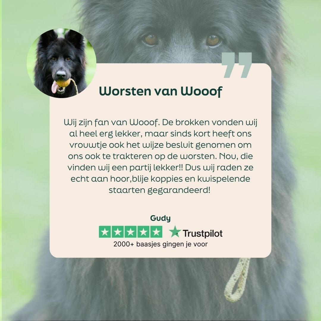 hond, zwart vacht, leer touw, frisbee, huisdier accessoire