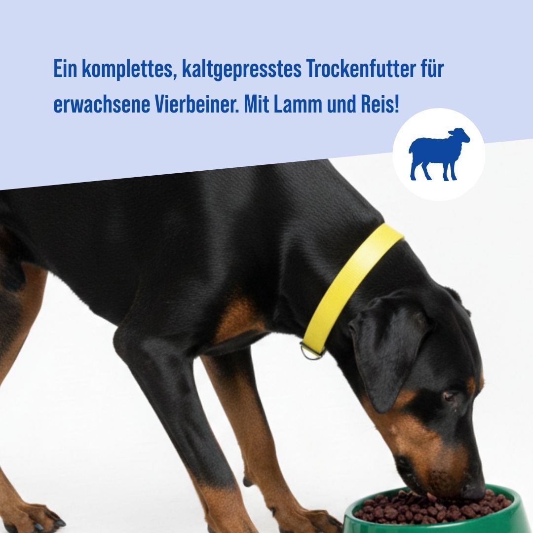 Adult Lamm & Reis Kaltgepresst  | 18kg