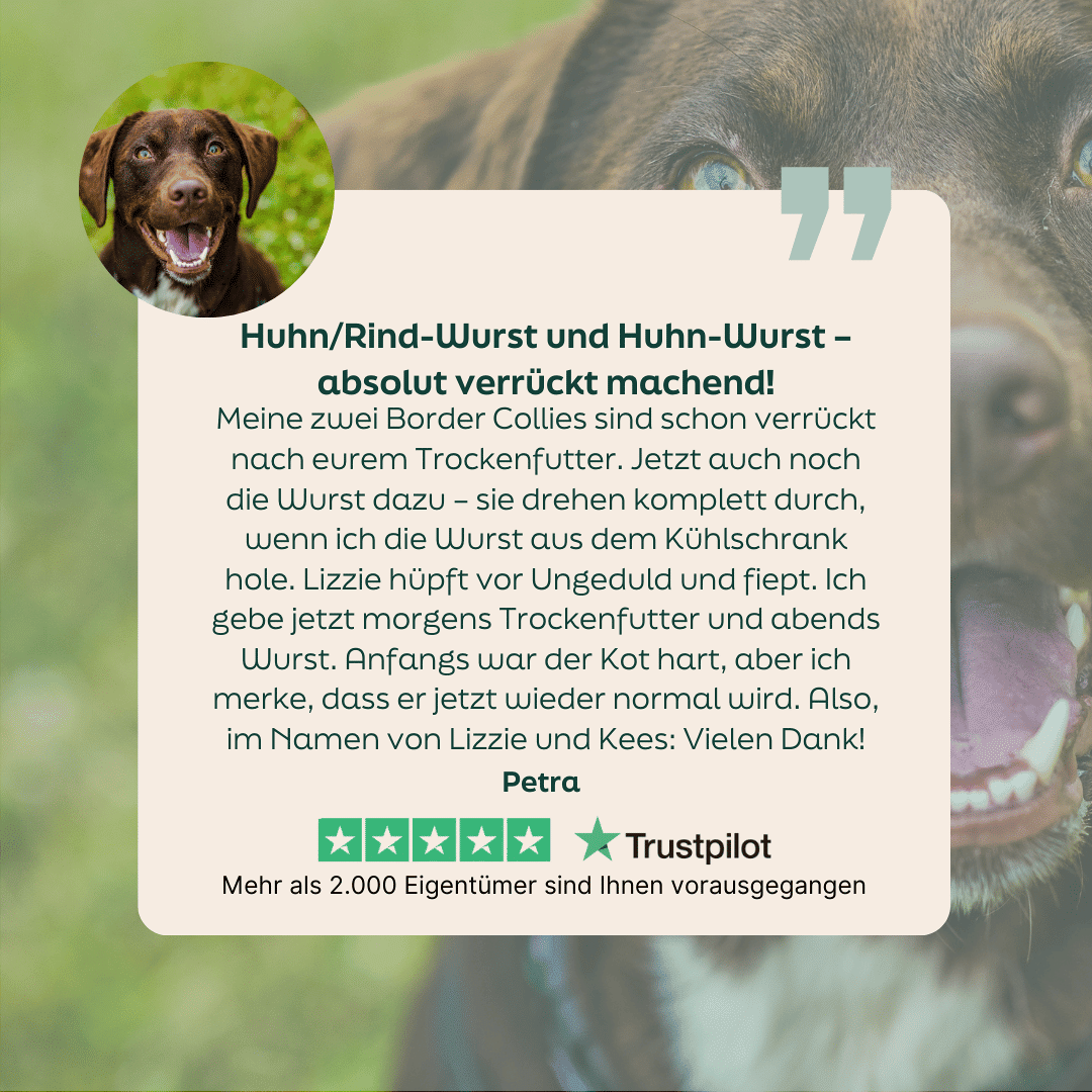 WOOOF Rind- & Hühnerwurst Frisch Sterne-Bewertung für die WOOOF Rind/Huhn Wurst