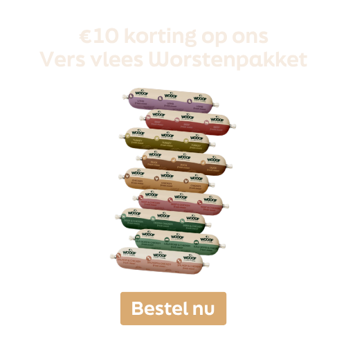 worst, not translated