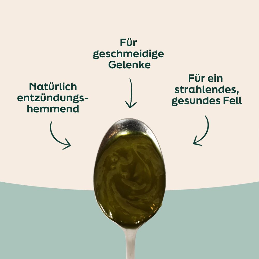 WOOOF Schafsfett  & Hanfsamenöl Vorteile von WOOOF Hanfsamenöl für ein glänzendes Fell
