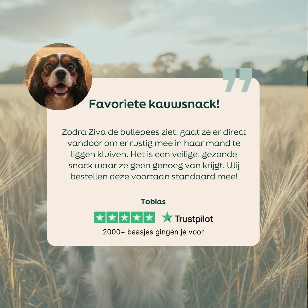 hond, hondentraktatie, kauwsnack, vertrouwensbeoordeling, afbeelding overlay