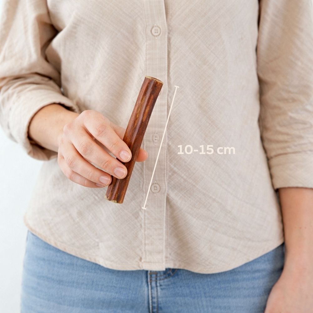 stick, cinnamon stick, clove, cinnamon baton, spice