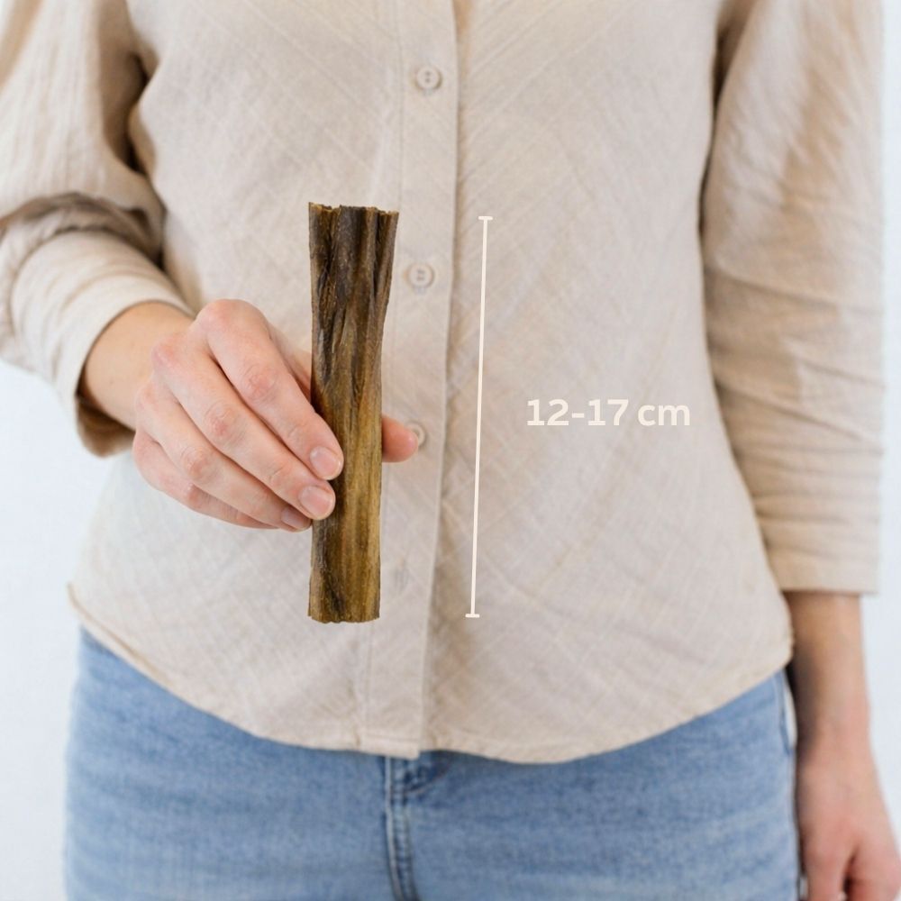 wooden stick, wooden twig, brown stick, measuring scale, handheld object