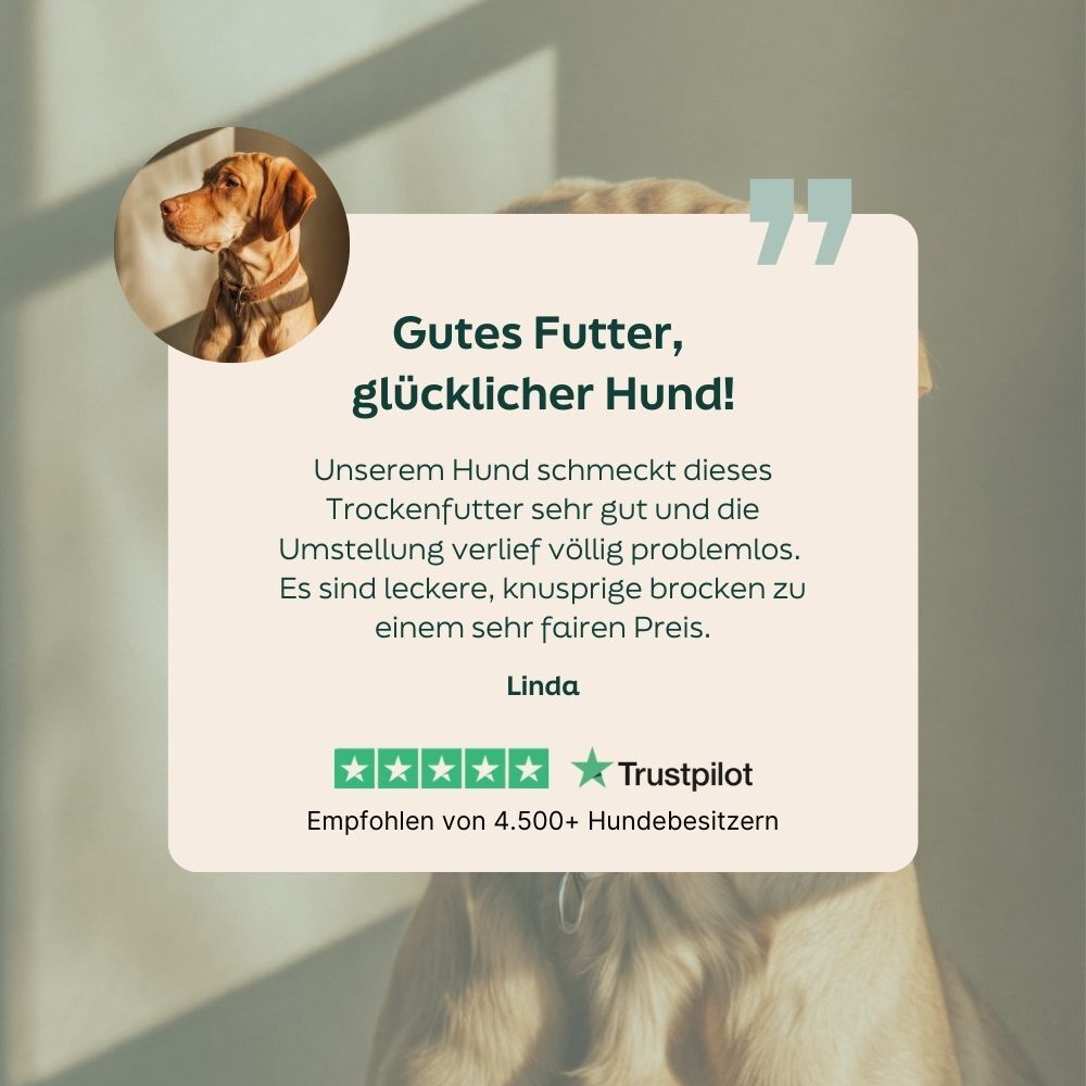 dog food, dry food, bag design, green label, trustpilot