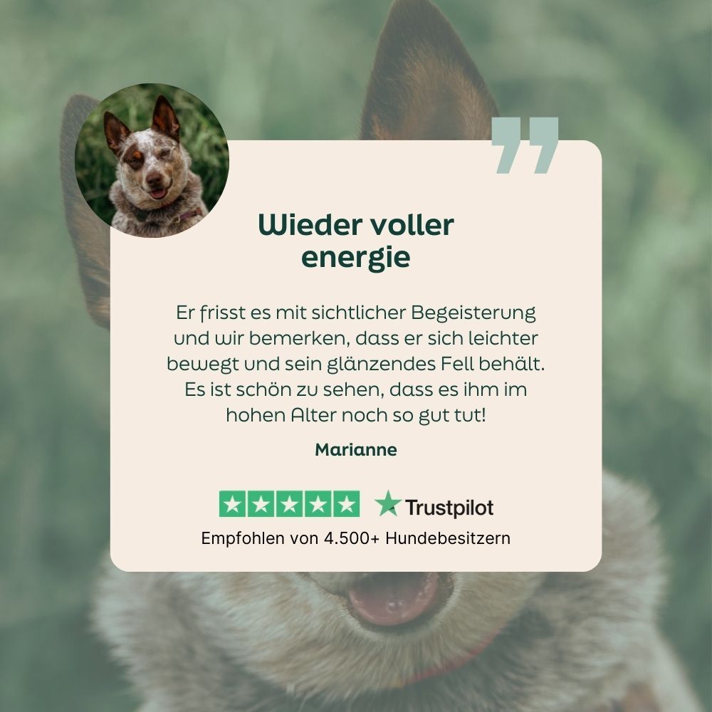 dog, puppy, dog food, kenneth?, image shows a dog with quote, ], , target_language_tags