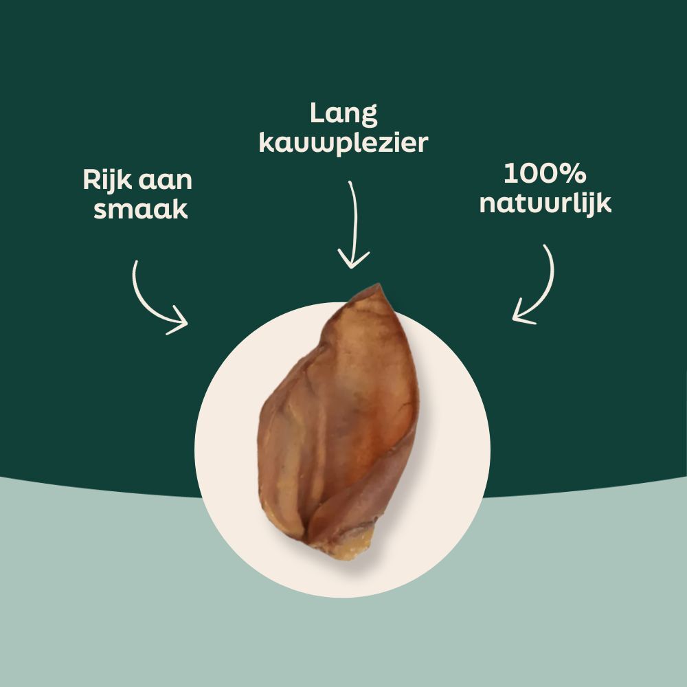 Voordelen van varkensoor