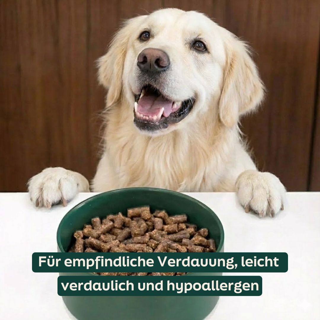 Hund mit WOOOF Lamm & Reis Brocken und einem USP