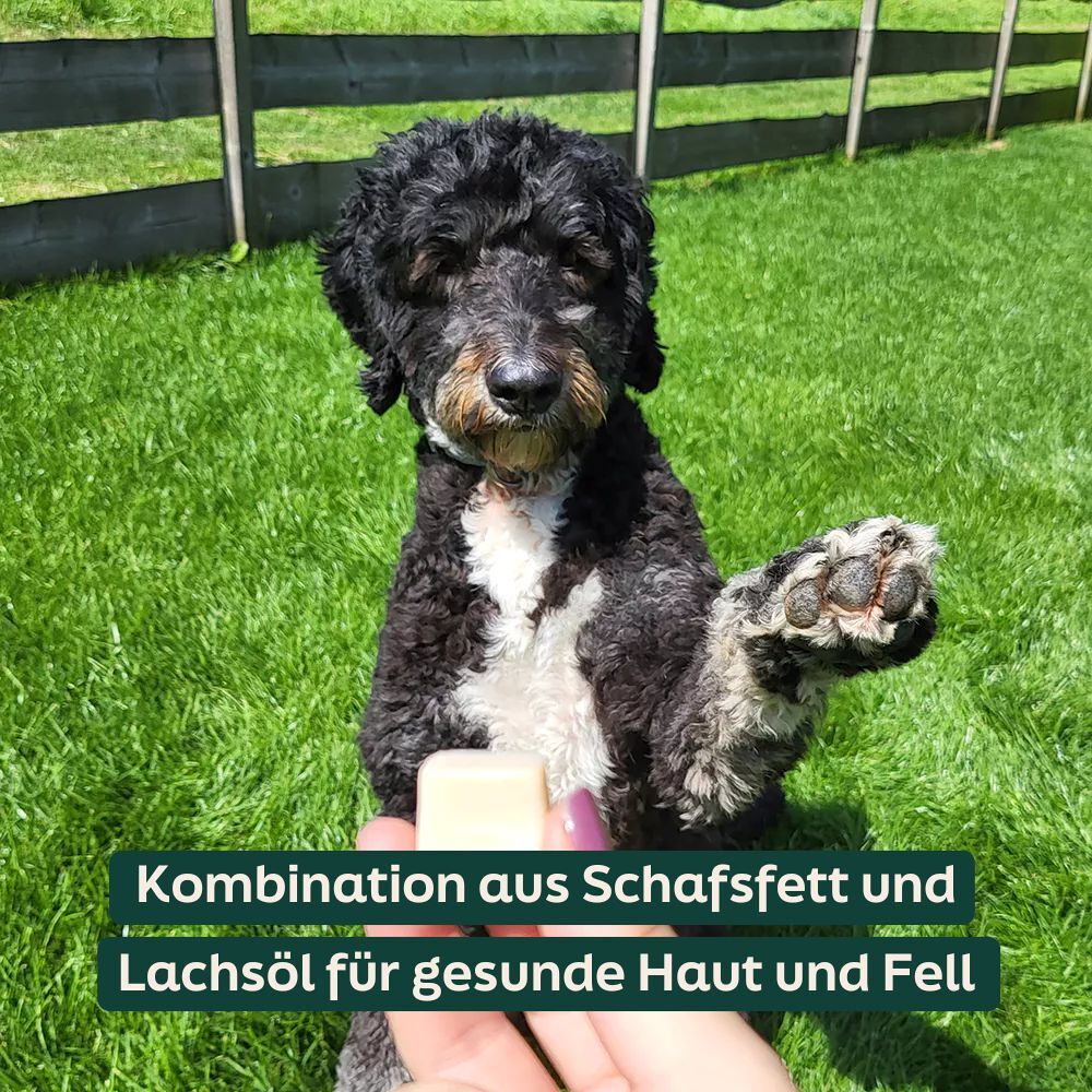 Schafsfett & Lachsöl Bites WOOOF Schaffett-Lachsöl-Bites für eine gesunde Haut und ein glänzendes Fell