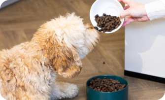 overstappen op geperste hondenbrokken van wooof
