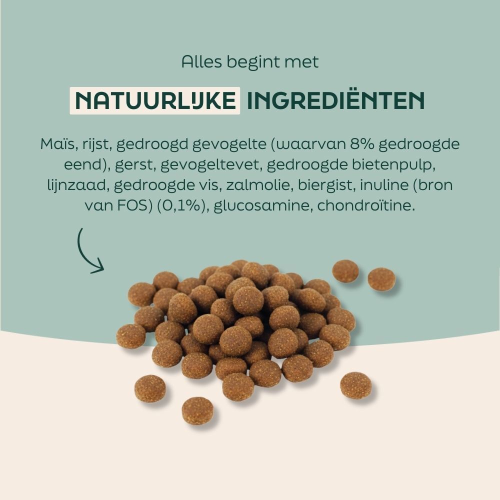 hondenvoer, korrels, bolletjes, bruin, huisdier voeding