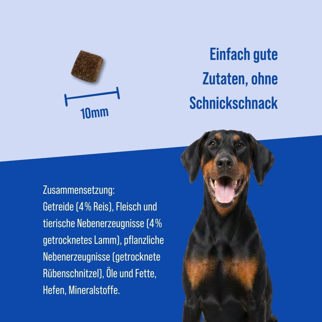 Adult Lamm & Reis | 18KG