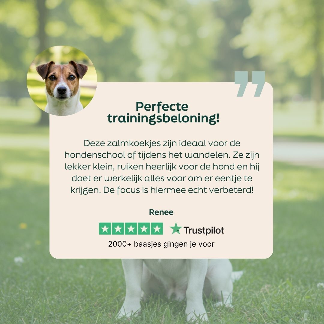 hond, training, onderscheiding, trustpilot, opmerking