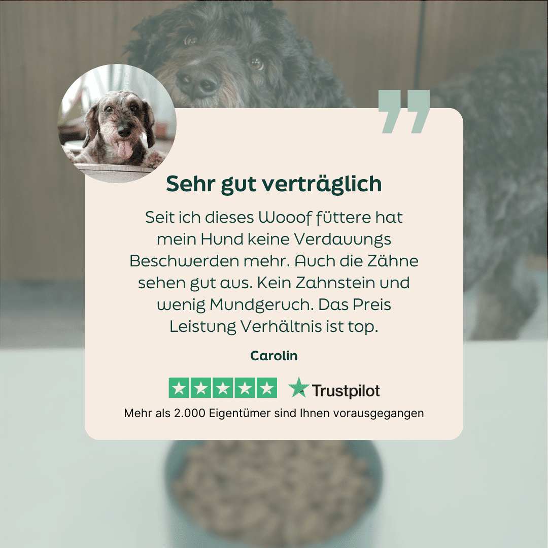 WOOOF Regular Hundefutter 5-Sterne-Bewertung zu WOOOF Regular