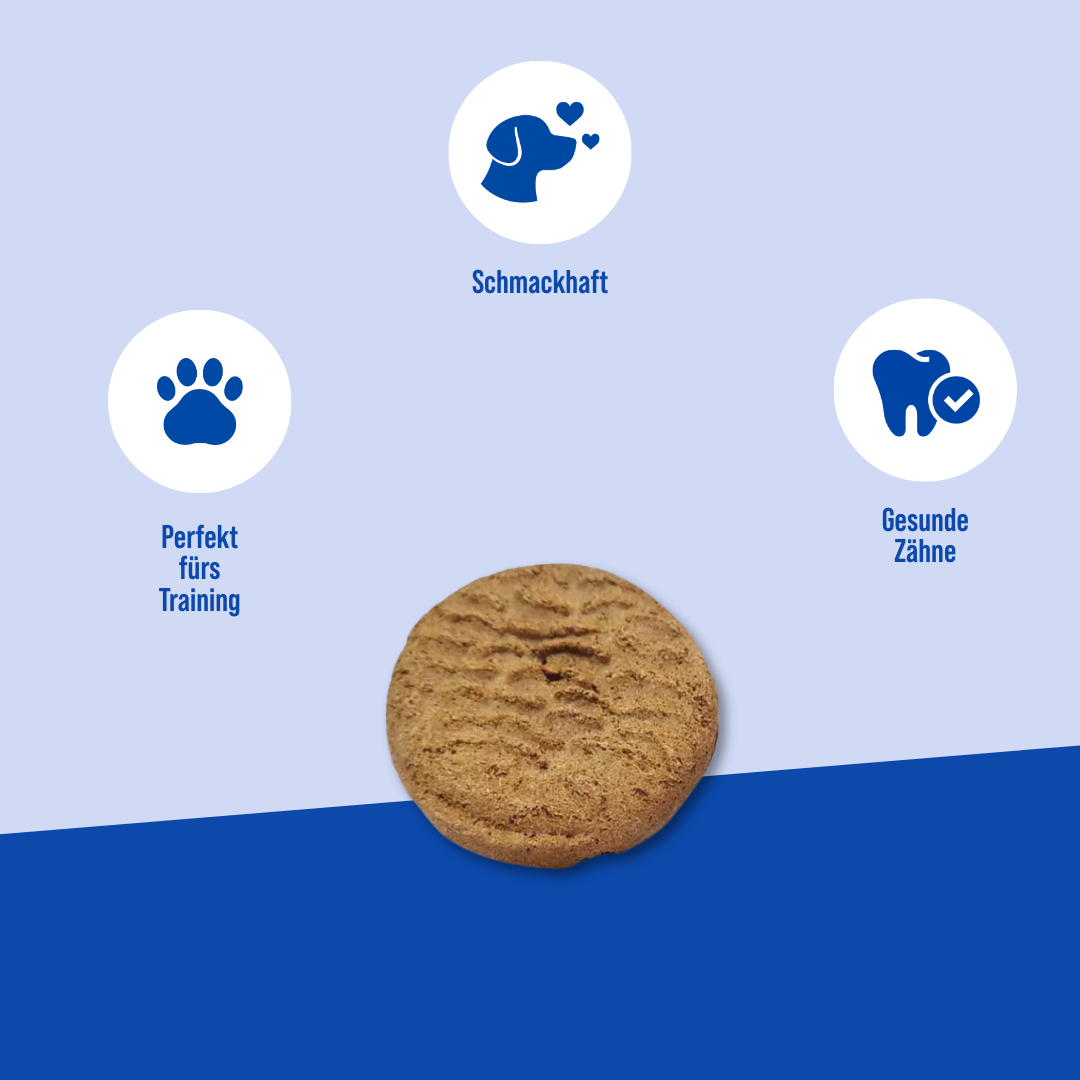 Die Vorteile der Hayes Brothers snack große kekse