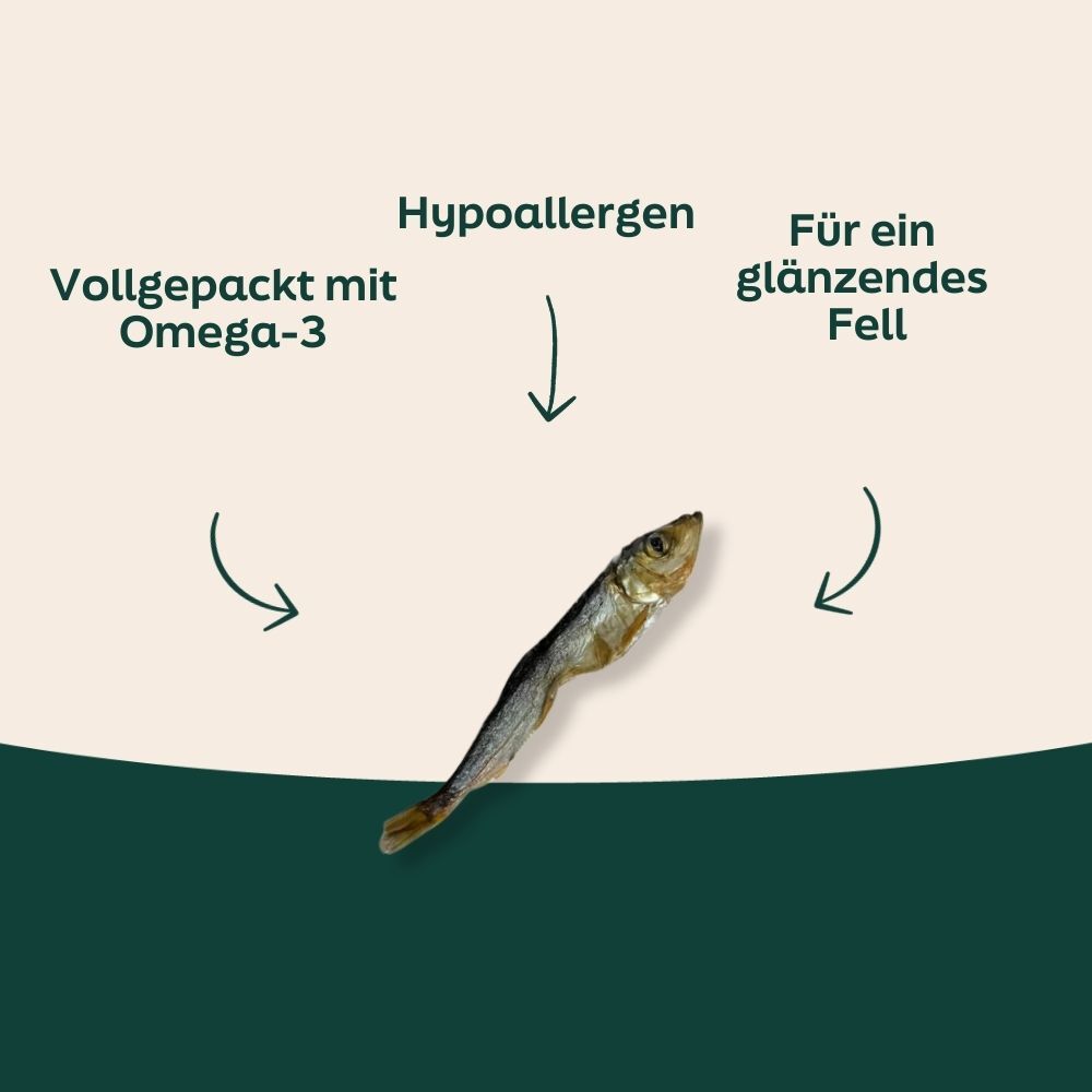 dried fish, fish snack, omega-3, herring, bone-friendly?