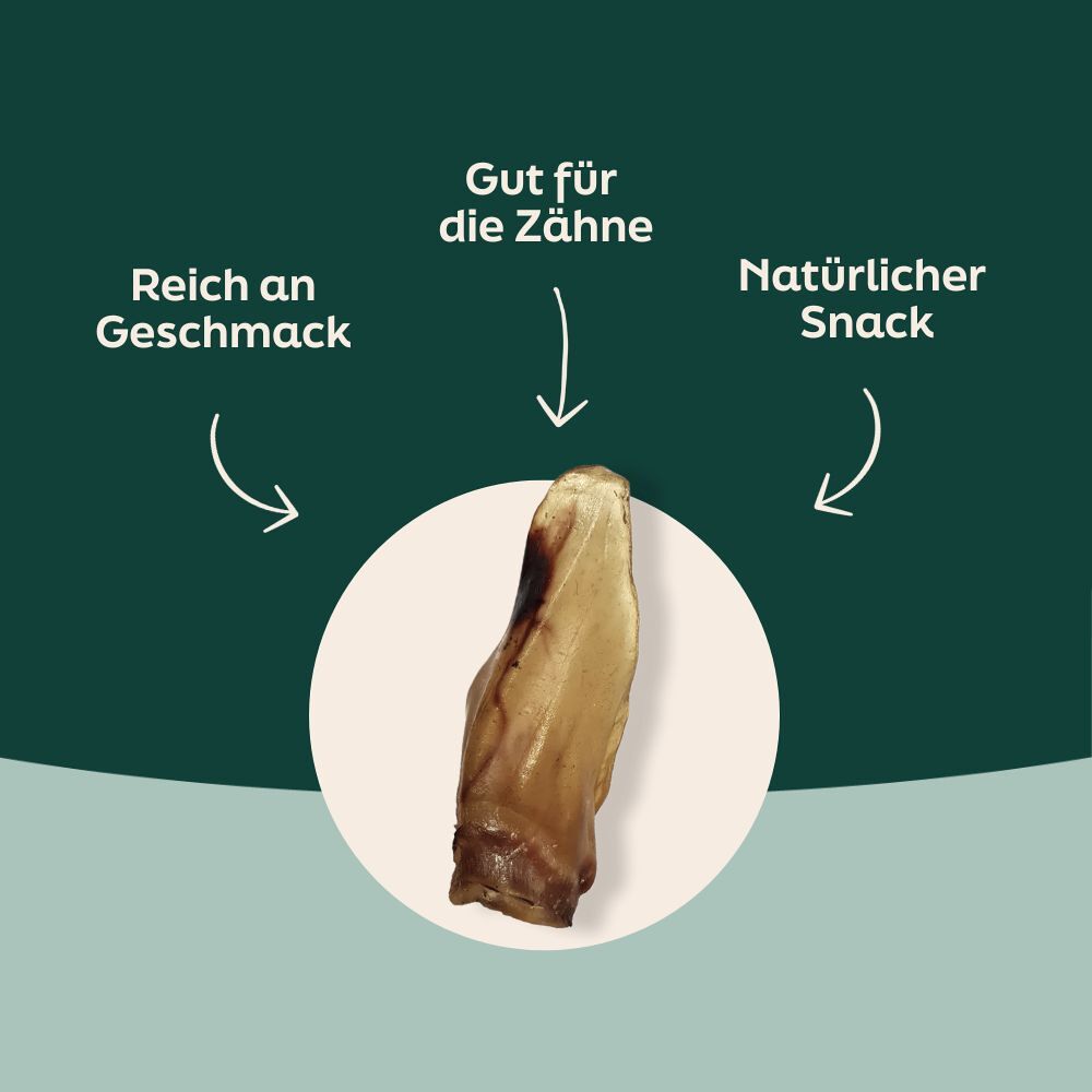 WOOOF Büffelohren Vorteile von Büffelohren