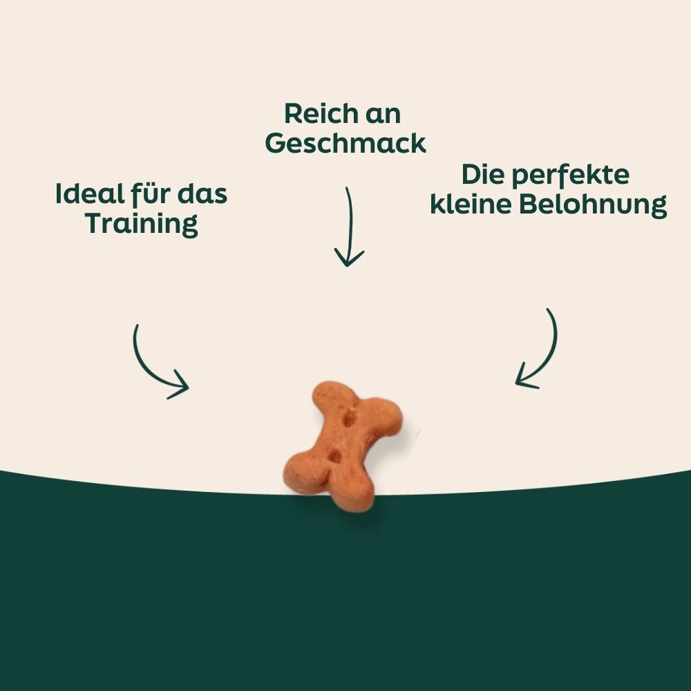 bone-shaped treat, dog biscuit, cookie bone, bone snack, animal cracker