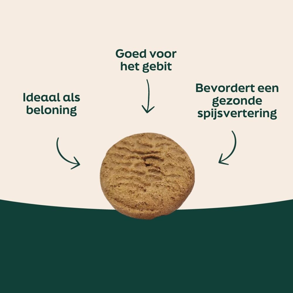 koekje, bruine koekje, rondu, textuurré oppervlakte, snacken