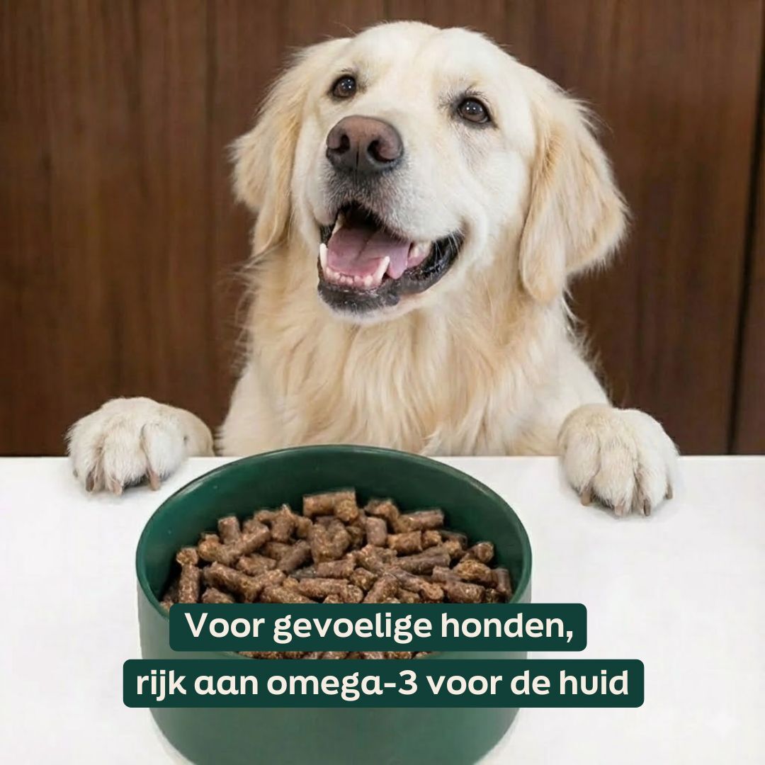 Hond met WOOOF zalm brokken en een USP