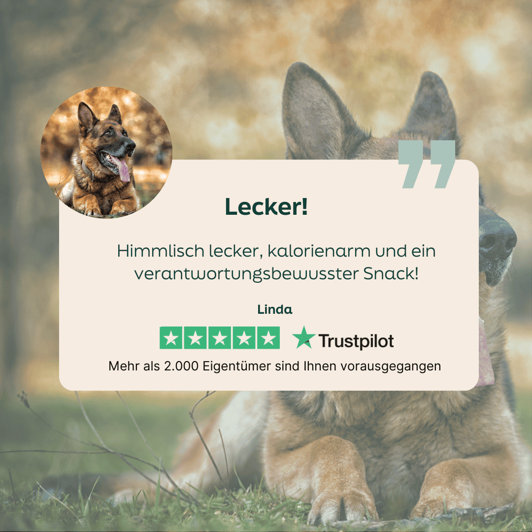 Sterne-Bewertung für die WOOOF kaninchen sticks