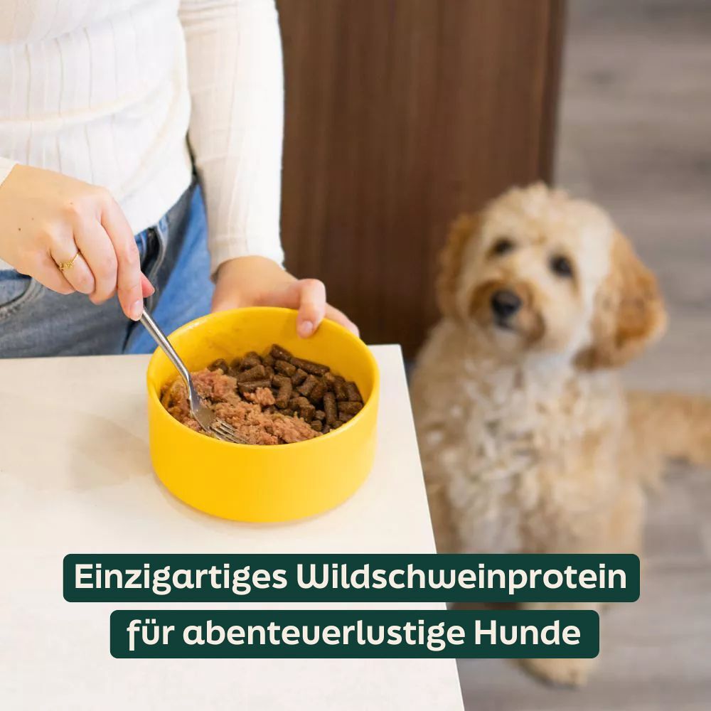 WOOOF Wildschwein & Hühnerwurst Frisch Hunde-Würste mit einzigartigem Protein vom Wildschwein