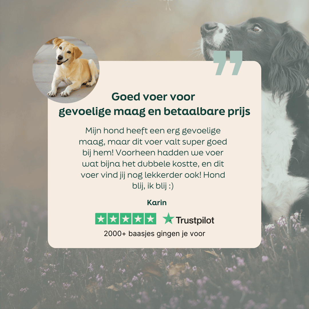 5 sterren review over WOOOF lam & rijst