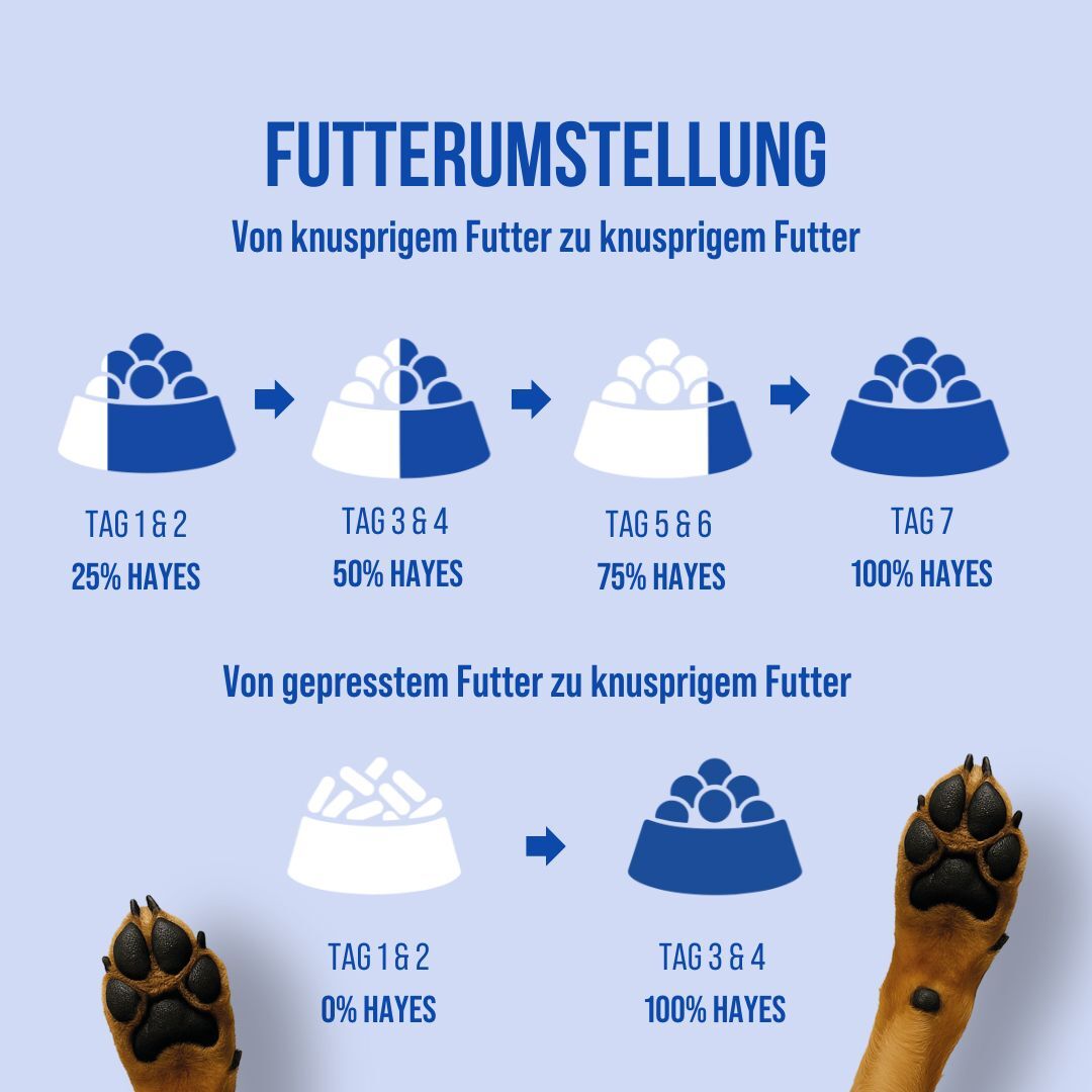 Adult | 18kg