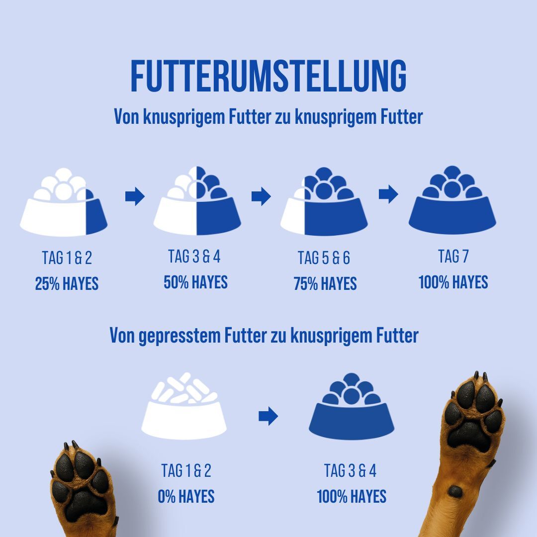 Adult | 18kg