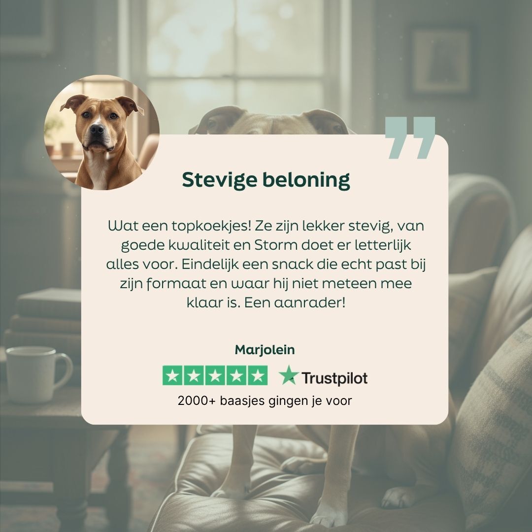 hond, hapje, traktatie, huishouden, achtergrond-verwolkt