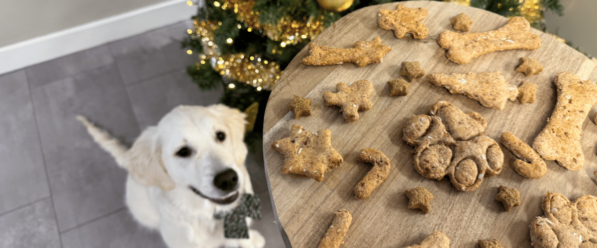 Kerstrecept: Hondenkoekjes maken
