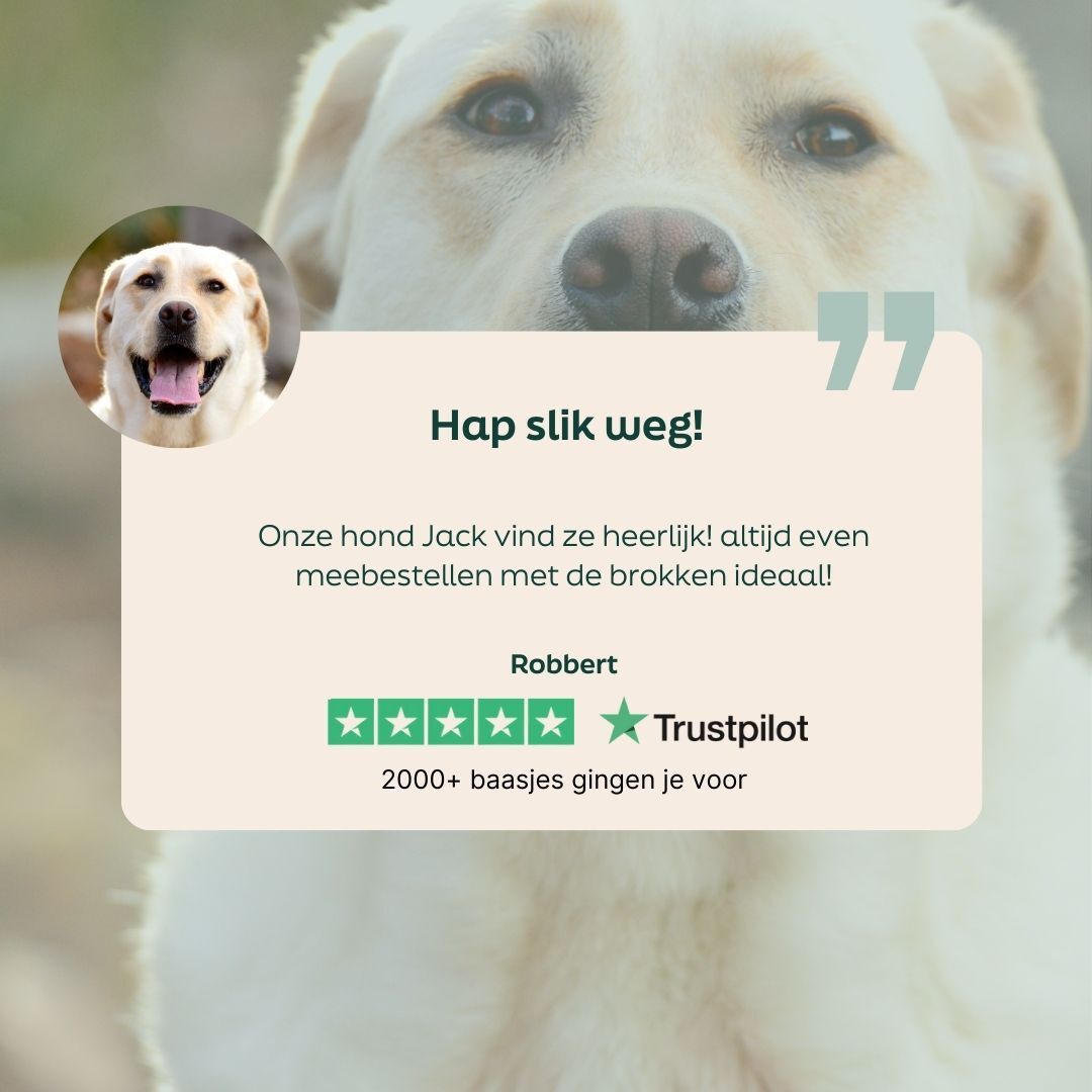 hond, golden retriever, huisdier foto, spraak bubbel, trustpilot