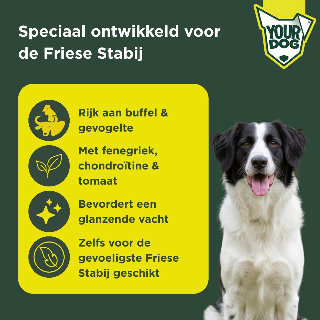 Friese stabij
