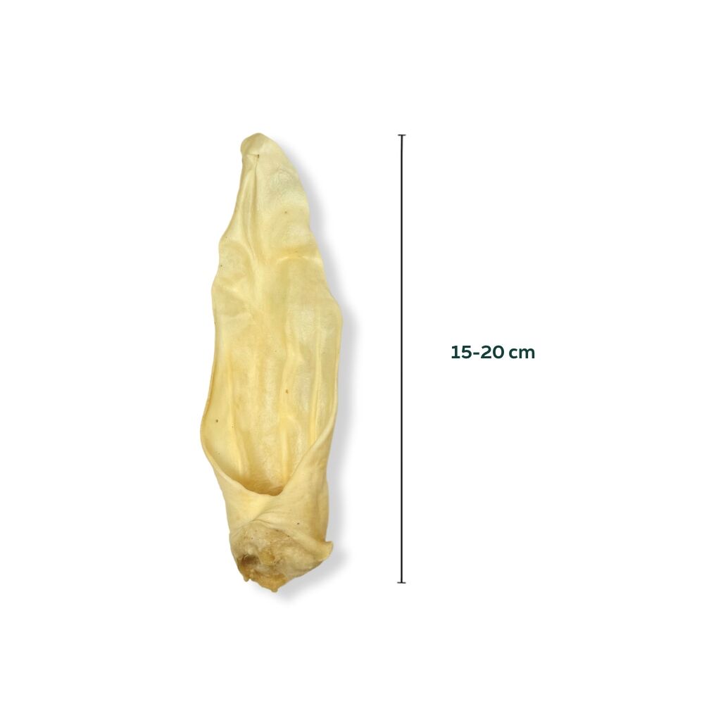 geitenoor 15-20 cm