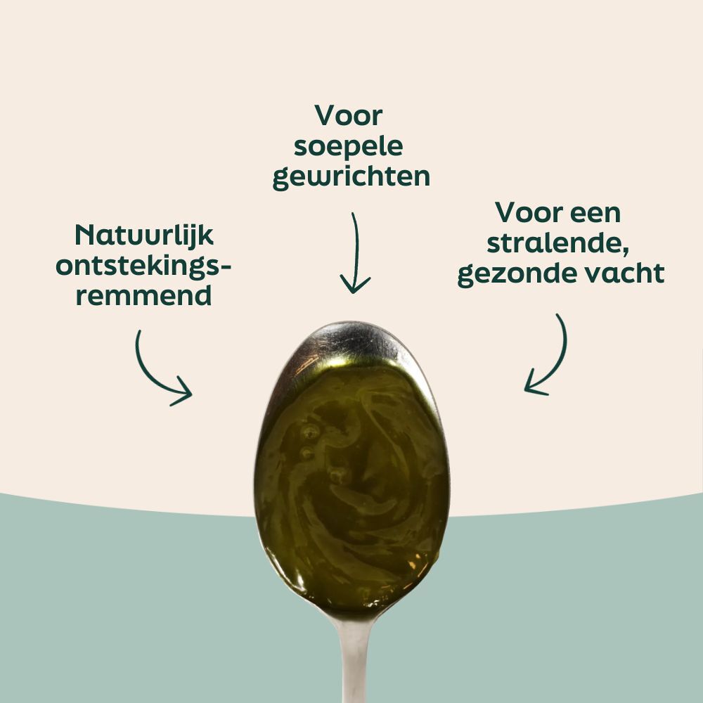 WOOOF Scottish Highlands Schapenvet & Hennepzaadolie - vloeibaar Voordelen van WOOOF hennepzaad olie voor een stralende vacht