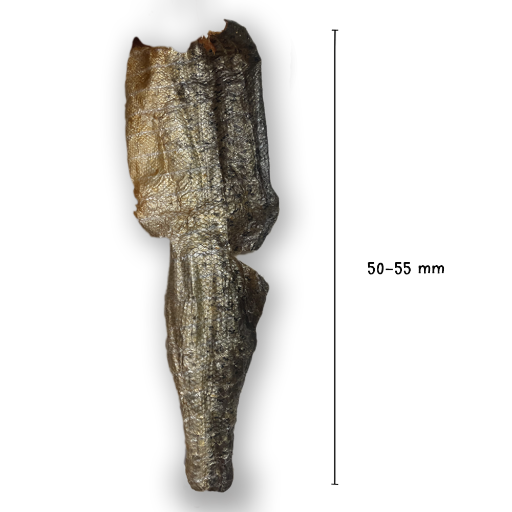 Hypoallergene zalmhuid
