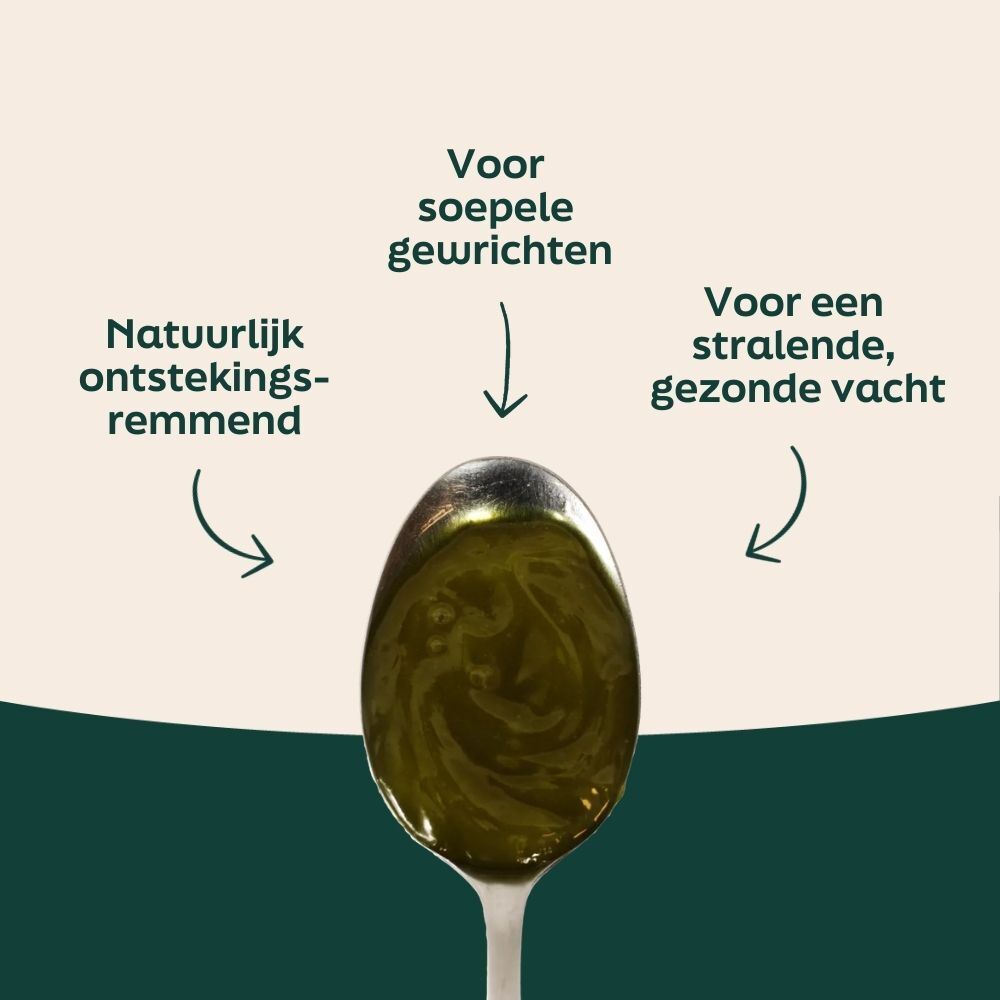 olijf, olijfolie, lepel, groen, organisch
