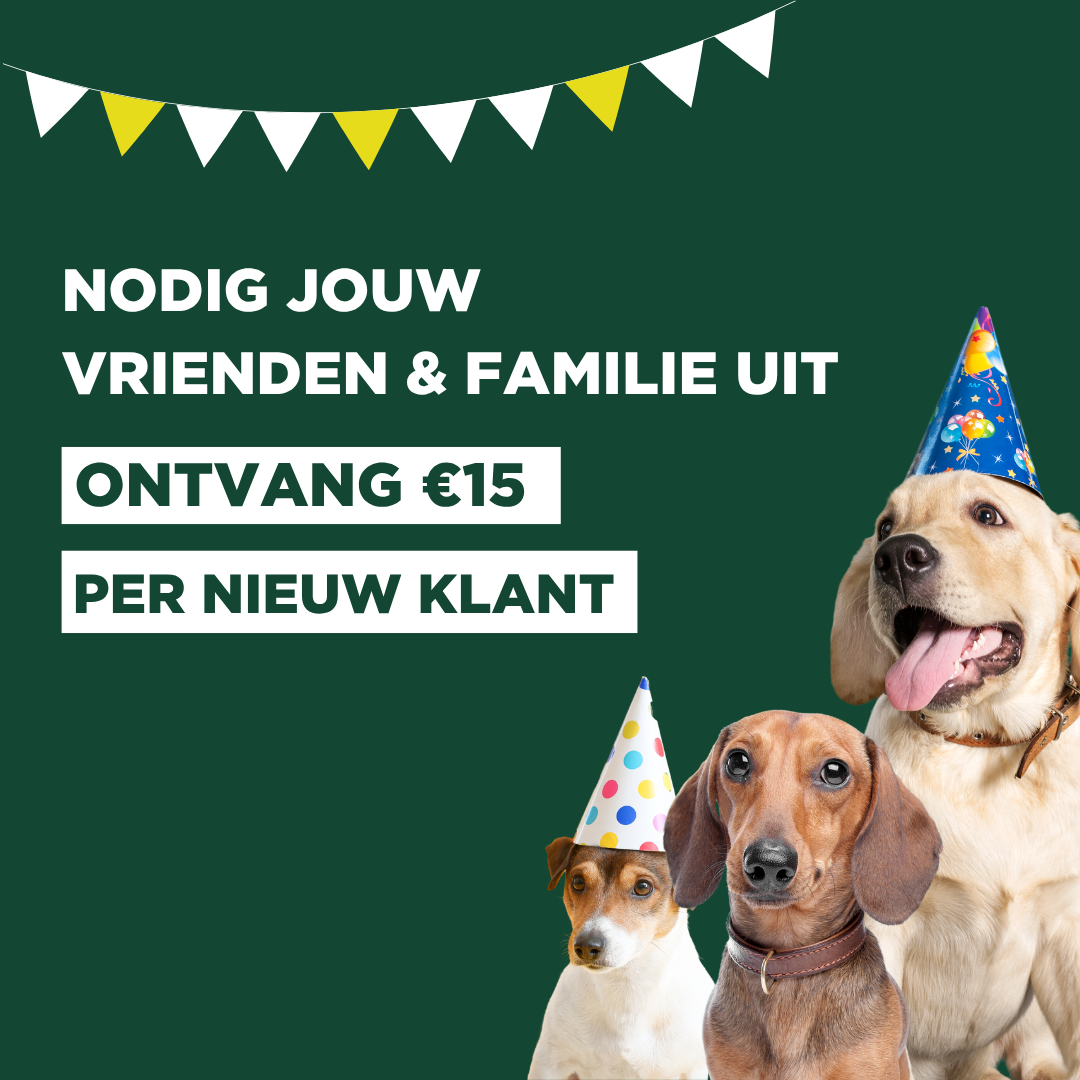 hond, honden, feest, feesthoed, promo
