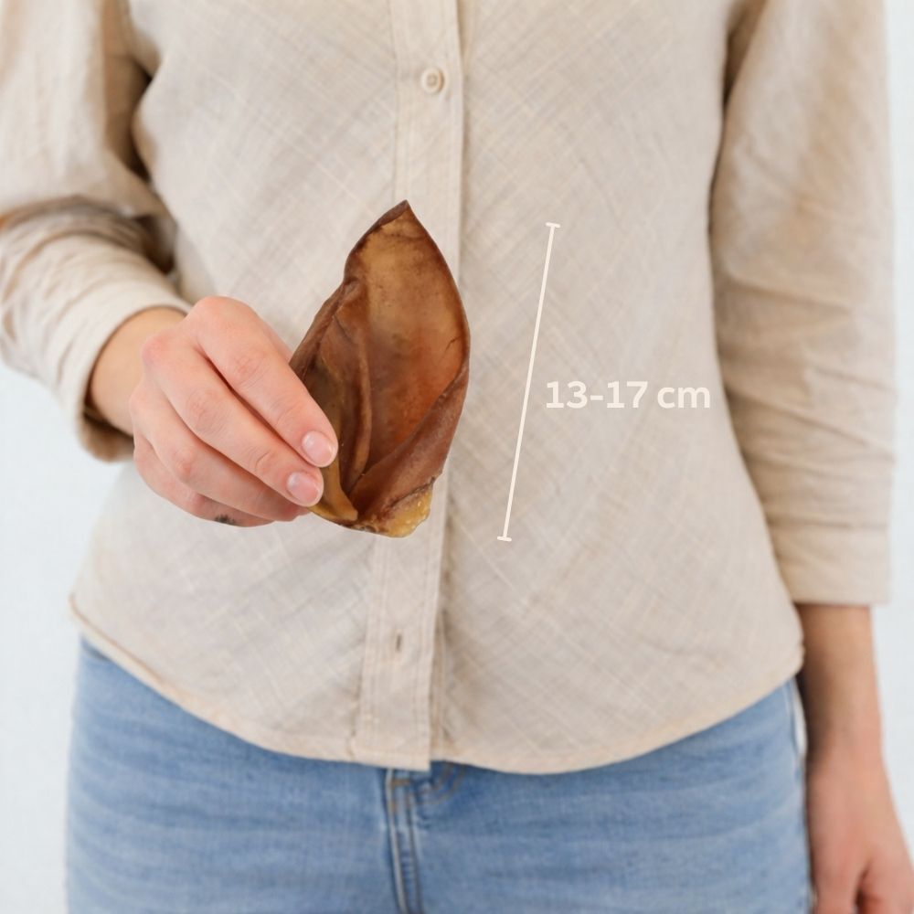 leer, omgekeerd, bruin, handheld, afschilferen, leren blad, bruin item, gevouwen blad, handheld, meting 13-17 cm