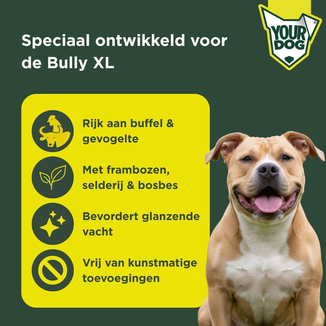 Bully xl