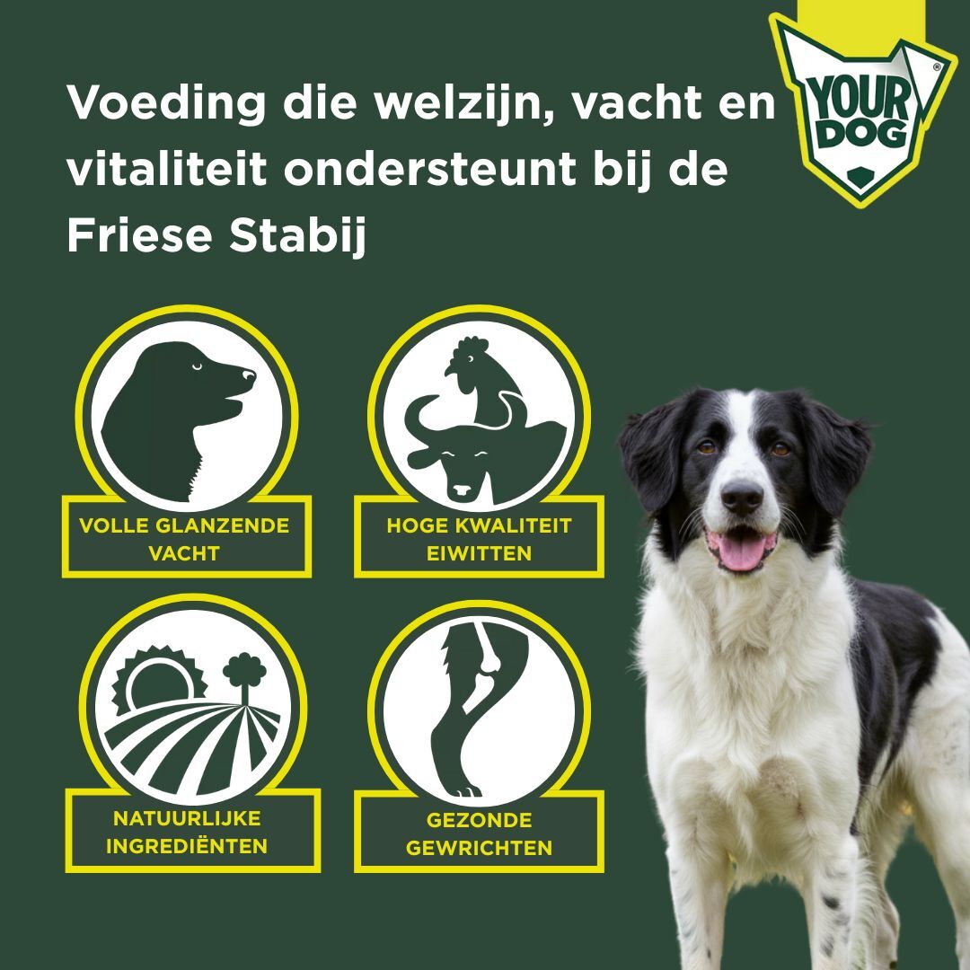 Friese stabij