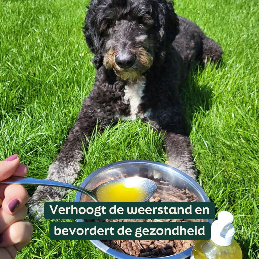 WOOOF Scottish Highlands Schapenvet & Hennepzaadolie - vloeibaar Lepel met hennepzaad olie voor de WOOOF brokken