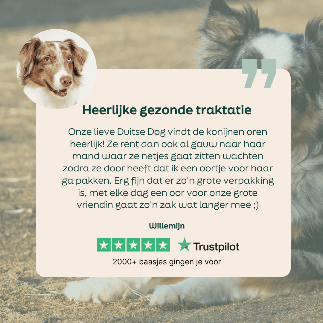 5 sterren review over WOOOF konijnenoren