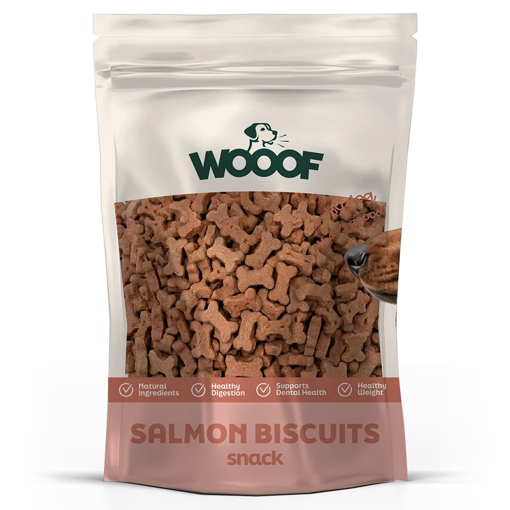 zalm trainers honden snack