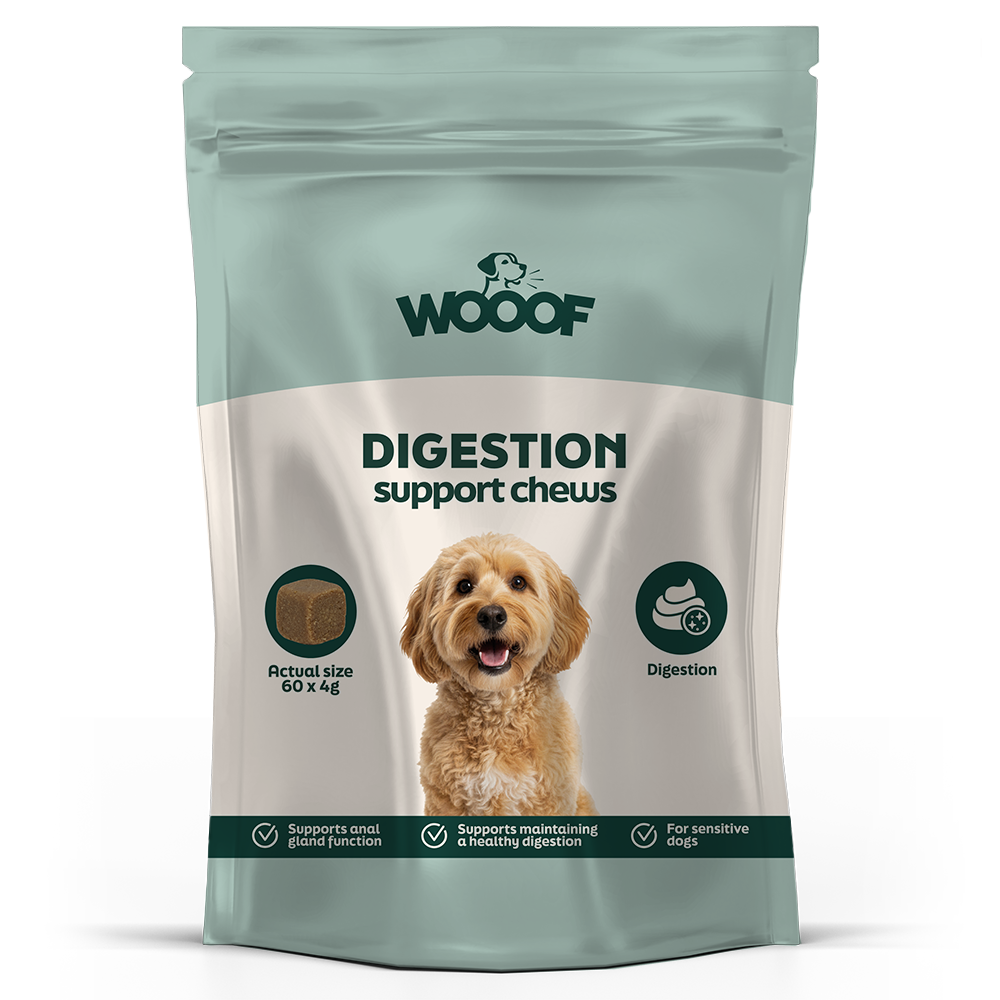 Digestion Support Chews - 60 x 4g